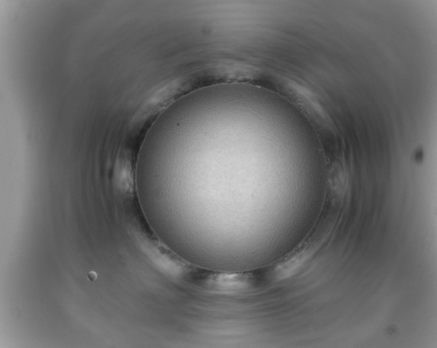 X0000091960622200709131228