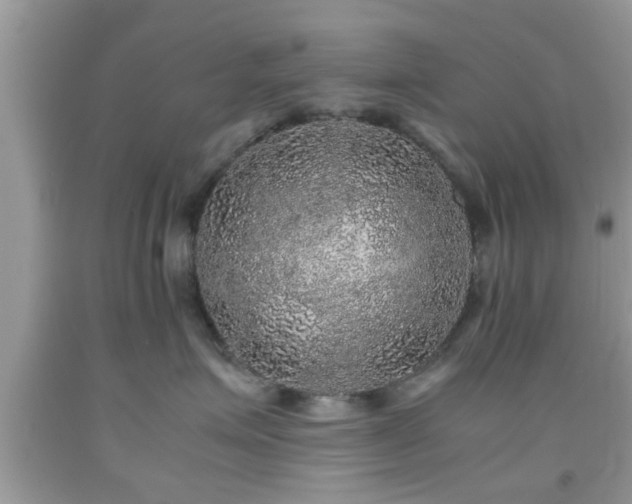 X0000091960623200709131228