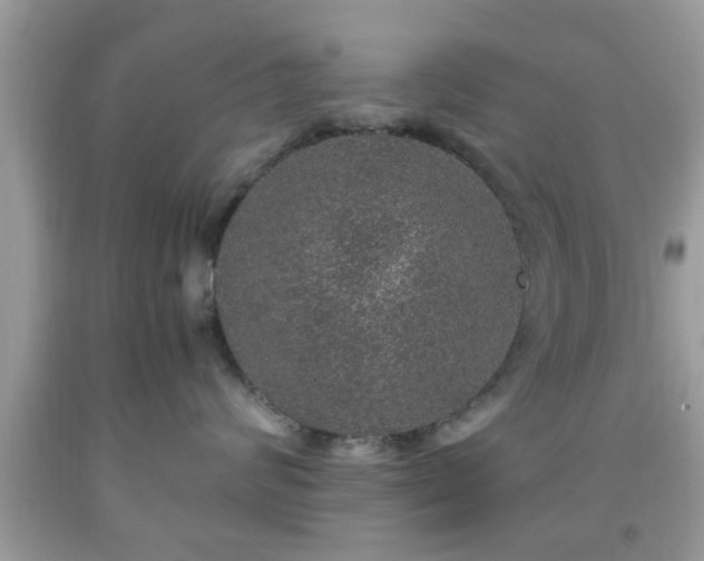 X0000091960624200709131228