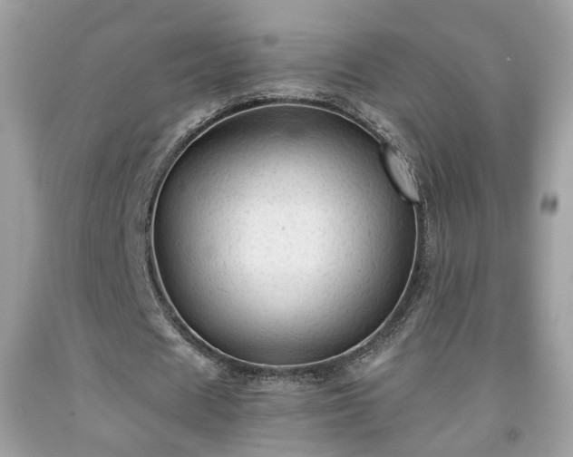 X0000091960625200709131227