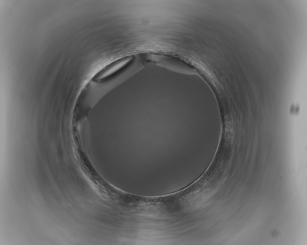 X0000091960626200709131227