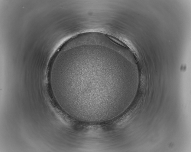 X0000091960628200709131227