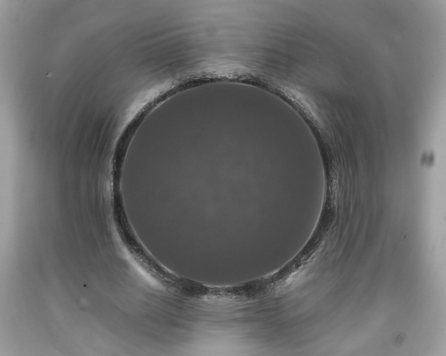 X0000091960630200709131227