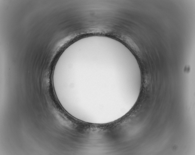 X0000091960632200709131227