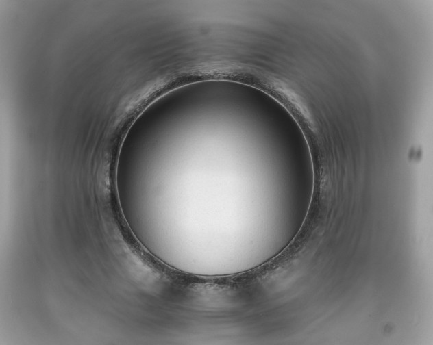 X0000091960633200709131227