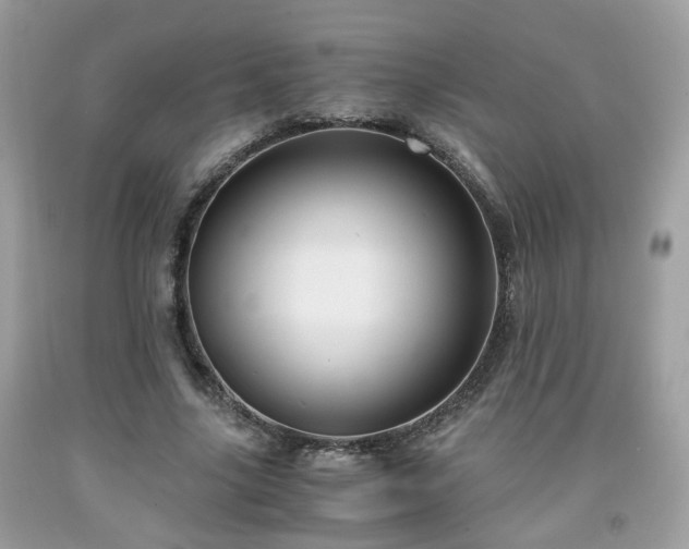 X0000091960635200709131227