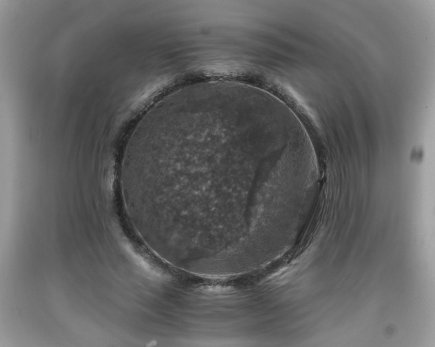 X0000091960637200709131227