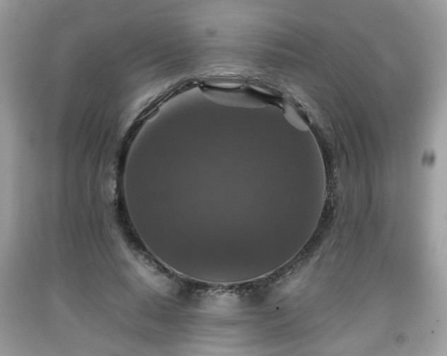 X0000091960640200709131227