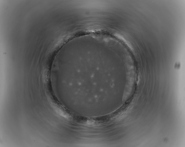 X0000091960641200709131227