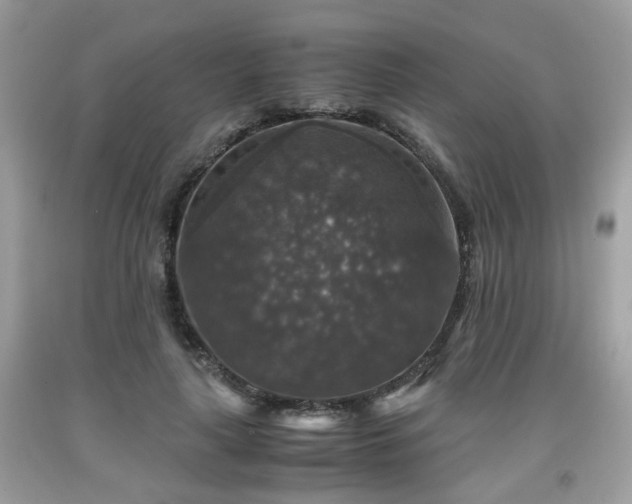 X0000091960643200709131227