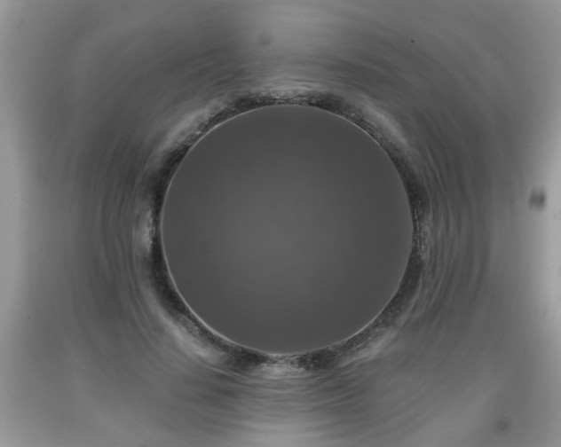 X0000091960644200709131227