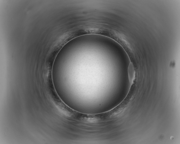 X0000091960645200709131227