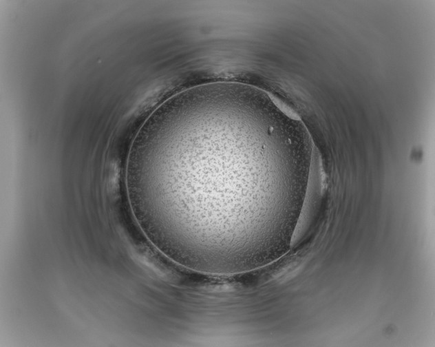 X0000091960646200709131227