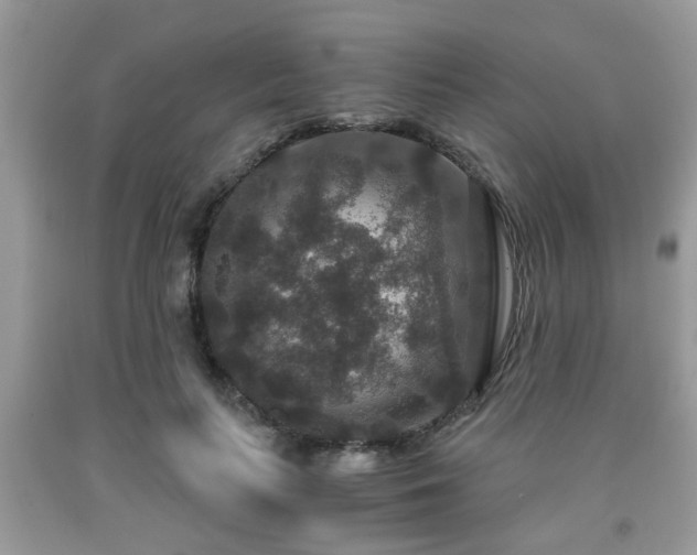 X0000091960647200709131227