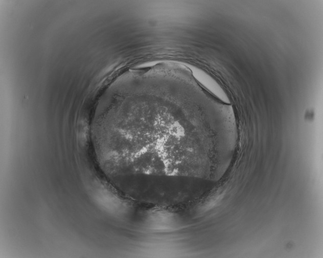 X0000091960648200709131227