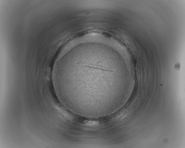 X0000091960649200709131227