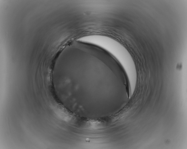 X0000091960650200709131227