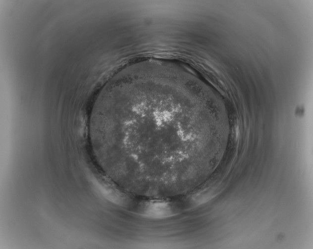 X0000091960651200709131227