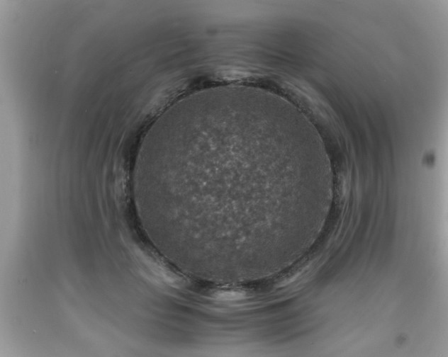 X0000091960653200709131227