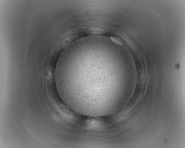 X0000091960655200709131227