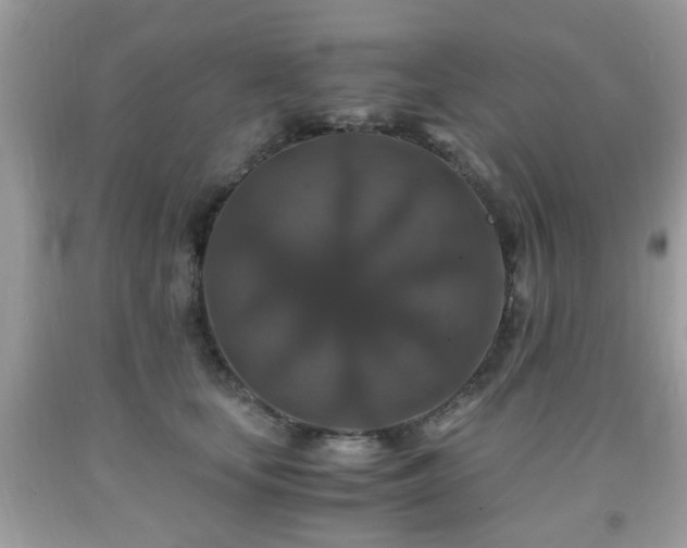 X0000091960659200709131227