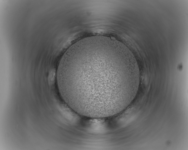 X0000091960660200709131228