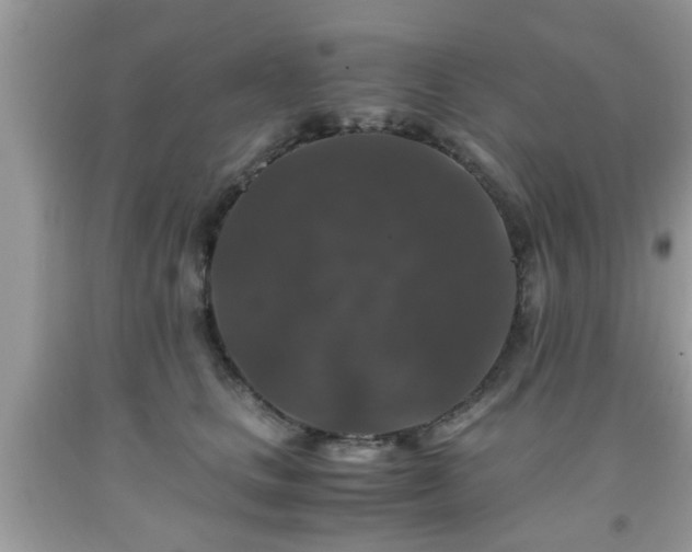 X0000091960661200709131228