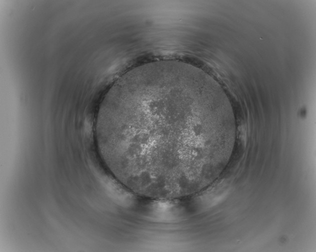 X0000091960662200709131228