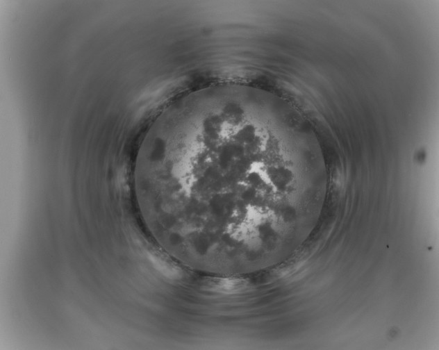 X0000091960663200709131228