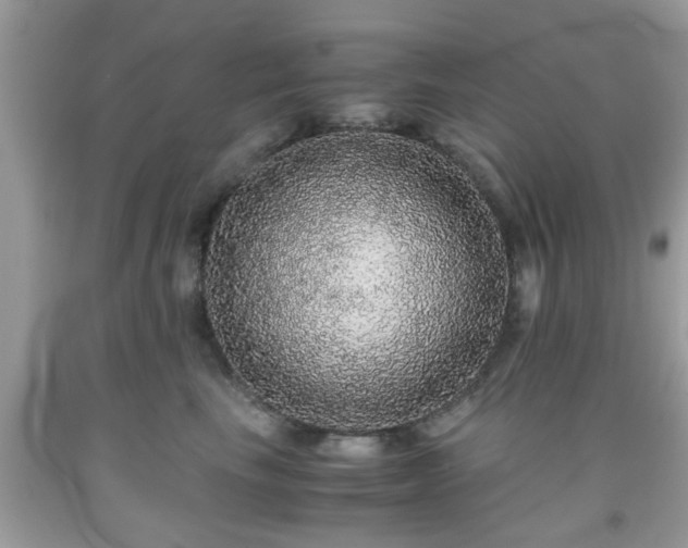 X0000091960665200709131228