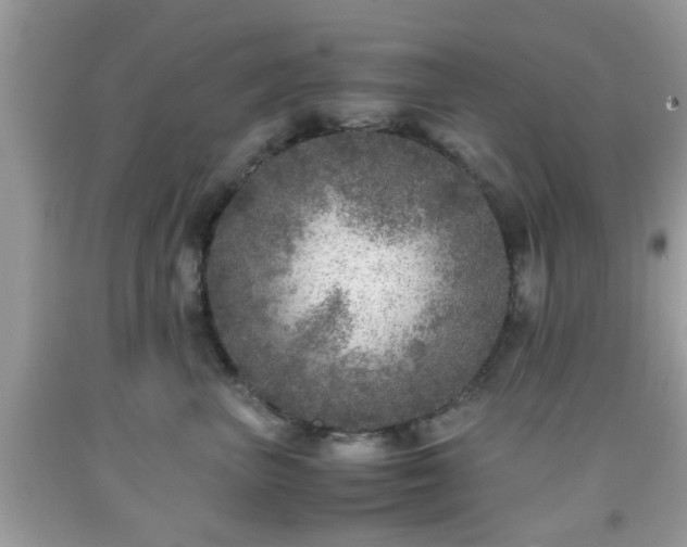 X0000091960667200709131228