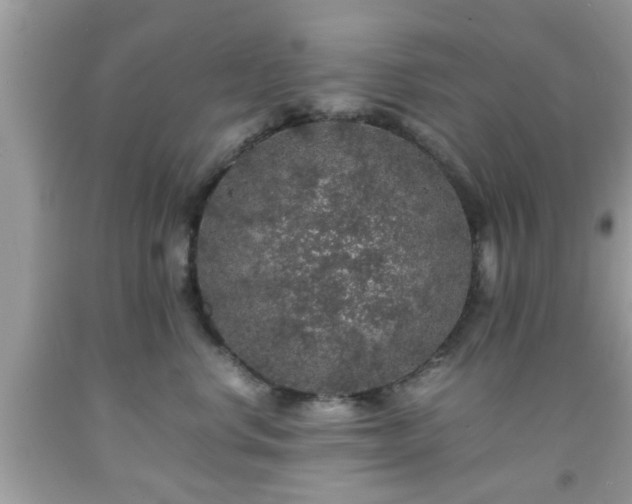 X0000091960668200709131228