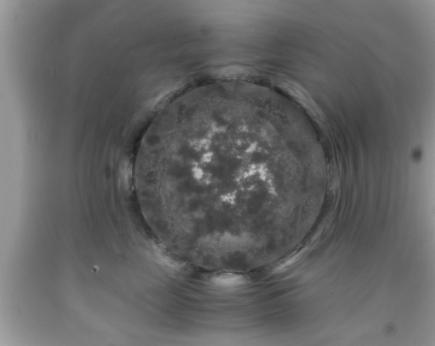 X0000091960669200709131228