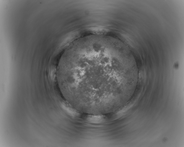 X0000091960671200709131228