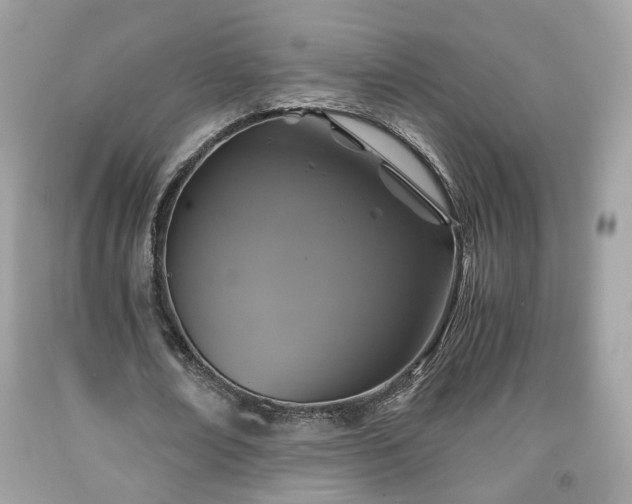 X0000091960674200709131227