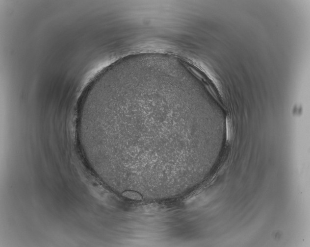 X0000091960675200709131227