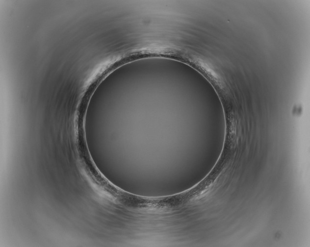 X0000091960678200709131227