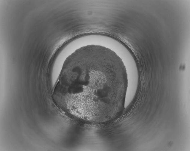 X0000091960679200709131227