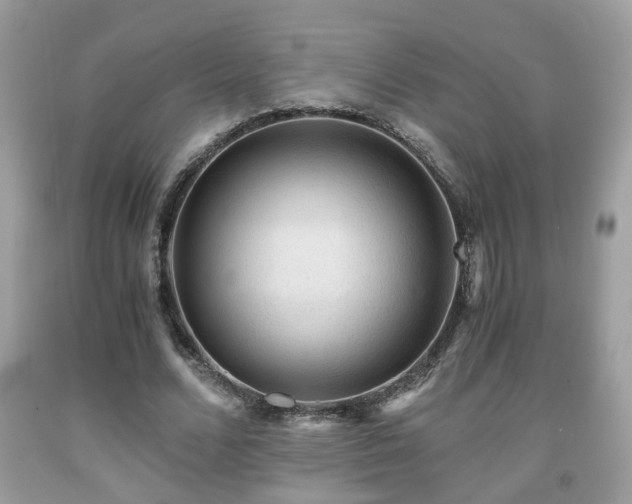 X0000091960680200709131227