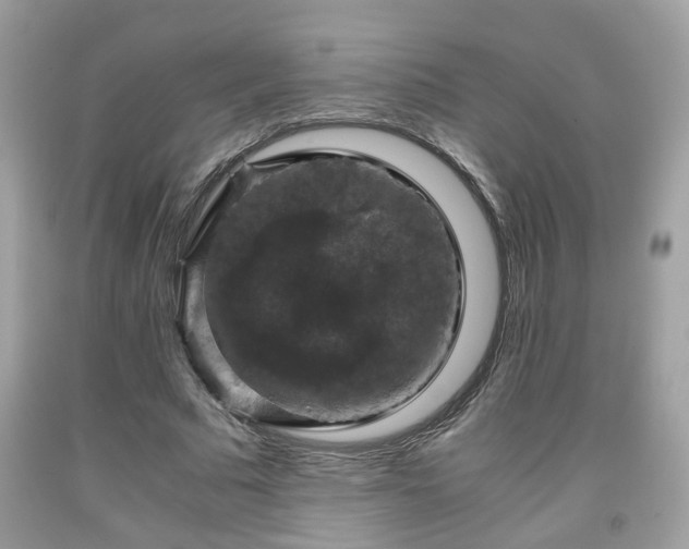 X0000091960681200709131227