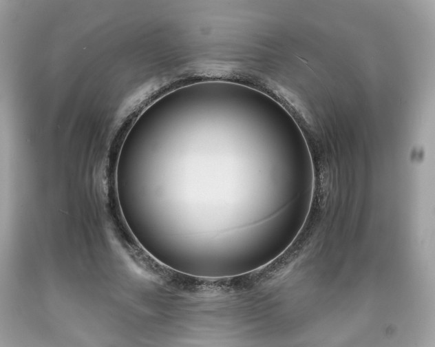 X0000091960682200709131227