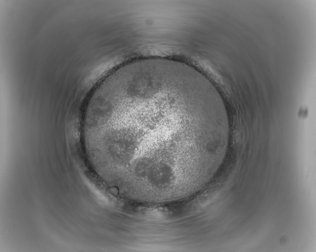 X0000091960683200709131227