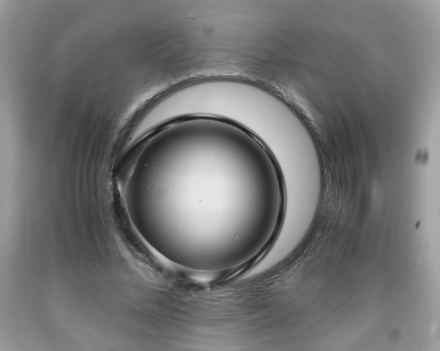 X0000091960684200709131227