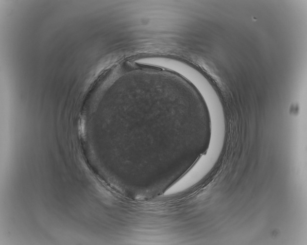 X0000091960685200709131227