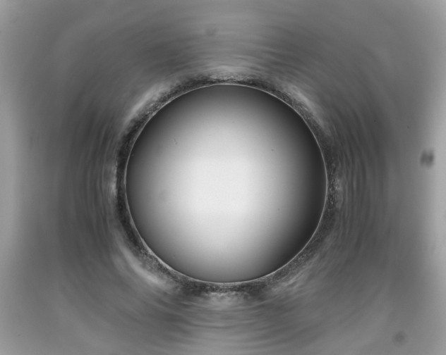 X0000091960686200709131227