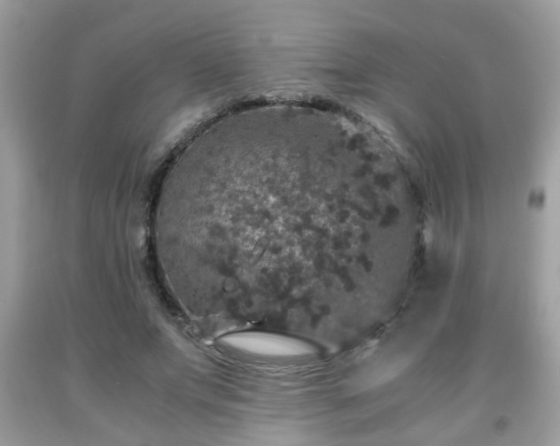 X0000091960687200709131227