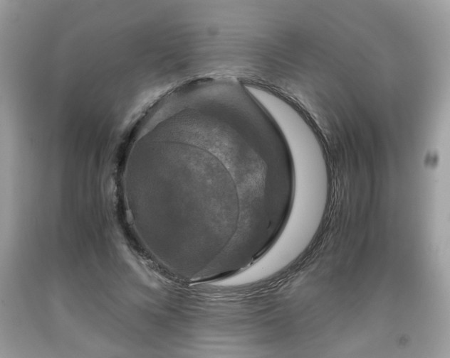 X0000091960688200709131227