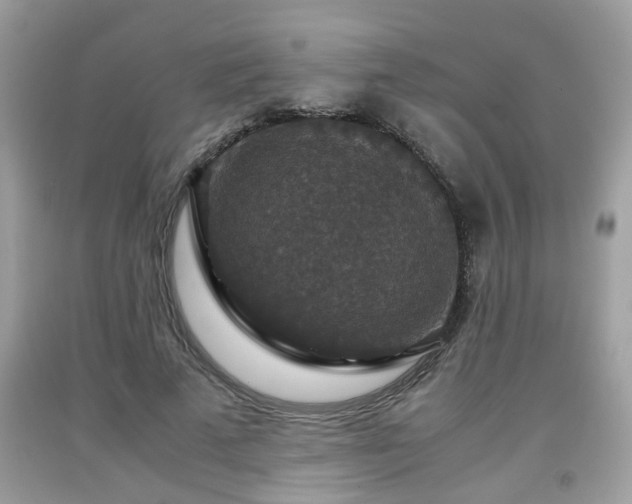 X0000091960689200709131227