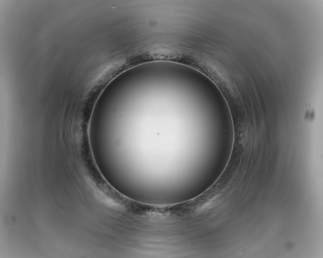 X0000091960690200709131227