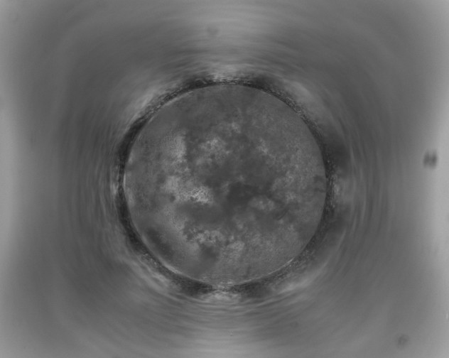 X0000091960691200709131227